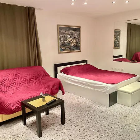 Apartment Luxury Sauna In